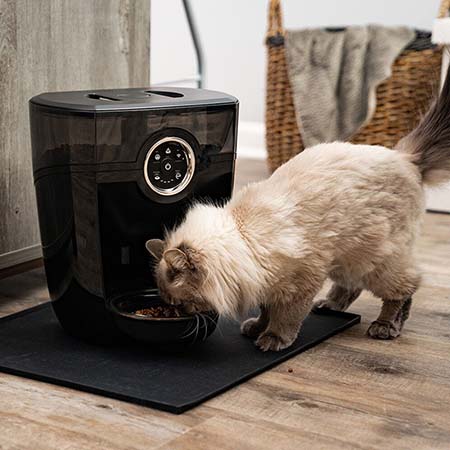 BestPetTech_WhiskerFeeder_Small