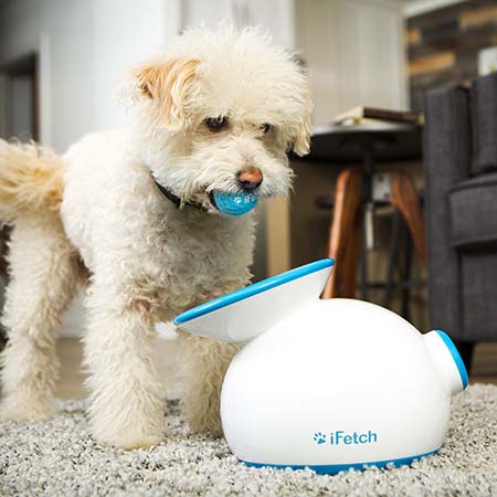 best ball launcher for dogs