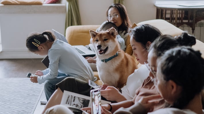 Frequently asked questions about fiber Internet slowdowns