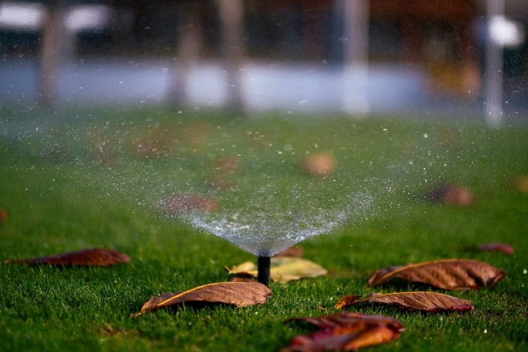 a sprinkler image